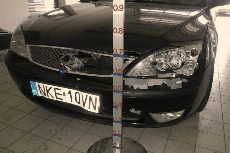 Co zrobić w sytuacji, gdy sarna uderzyła w samochód?