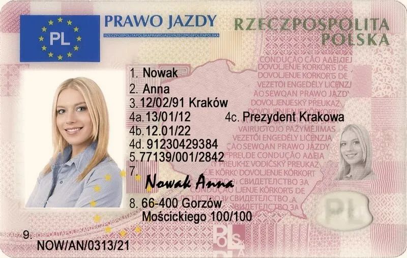 Czy kierowca musi mieć prawo jazdy przy sobie? Zasady i kary