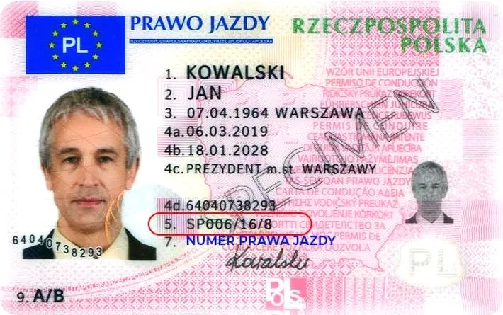 Czy meldunek jest niezbędny do otrzymania prawa jazdy?