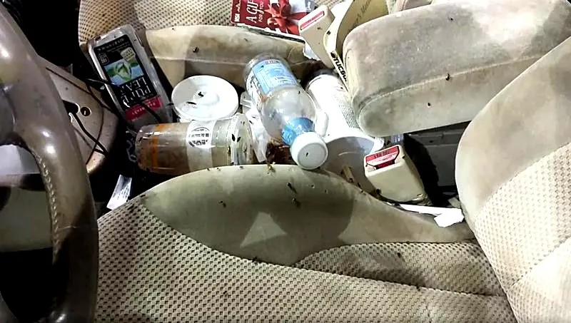 Skuteczne sposoby na pozbycie się mrówek w samochodzie