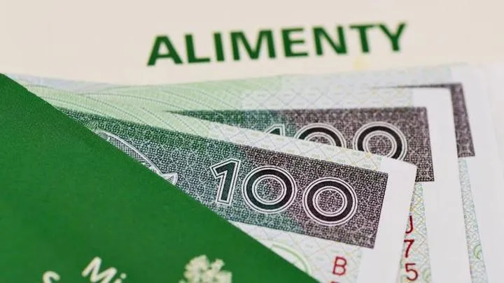 Bezskuteczność egzekucji alimentów