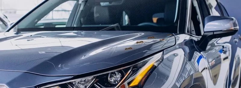 Chemiczne środki owadobójcze