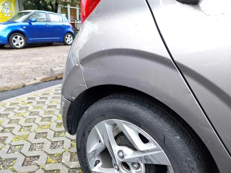 Kolizje z dzikimi zwierzętami