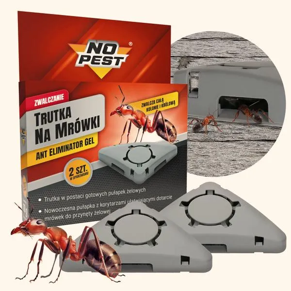 Mrówki w samochodzie