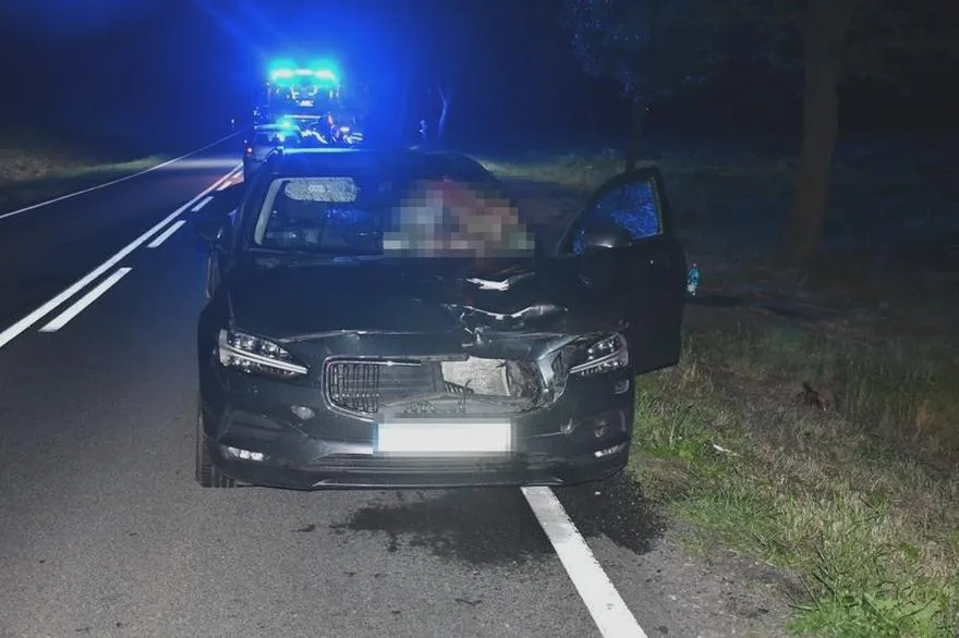 Obowiązki kierowcy w kolizji