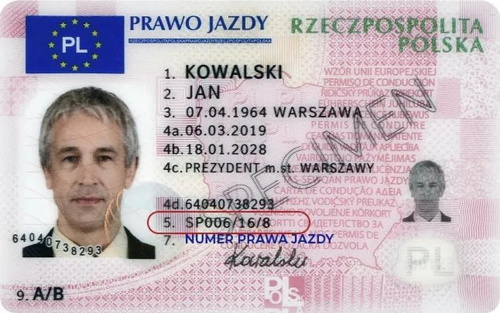 Prawo jazdy teoria