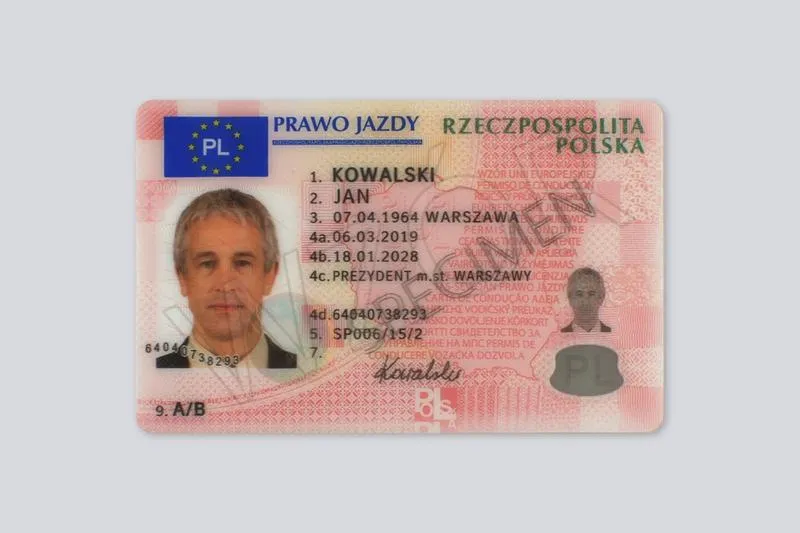Przyczyny zatrzymania prawa jazdy