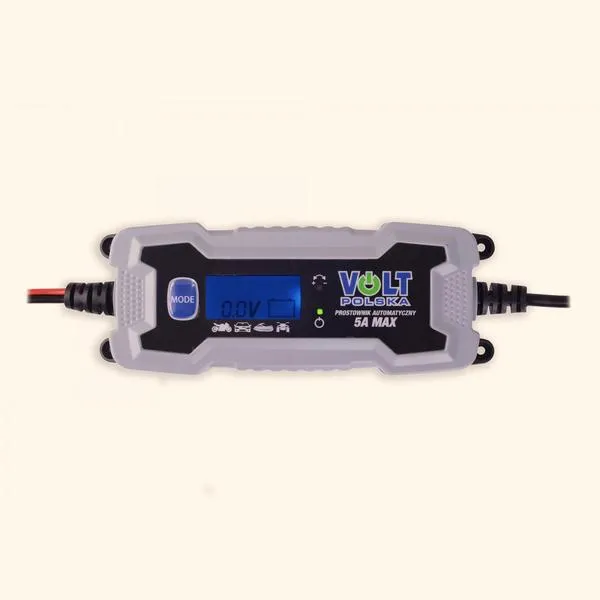 Rodzaje prostowników na rynku