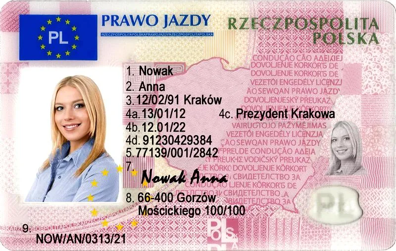 Sprawdzanie statusu prawa jazdy