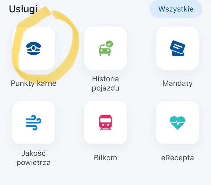 System punktów karnych