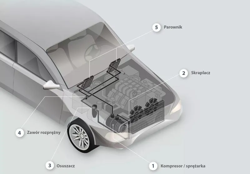 Zdrowie i komfort pasażerów